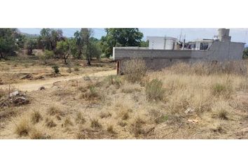 Lote de Terreno en  Santa Cruz Tlaxcala