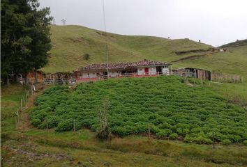 Villa-Quinta en  Poblado, Medellín