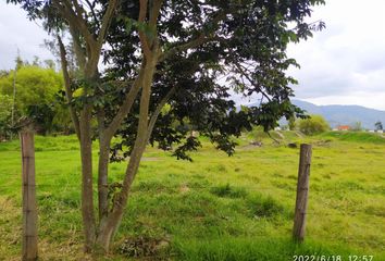 Terreno Comercial en  Pifo, Quito