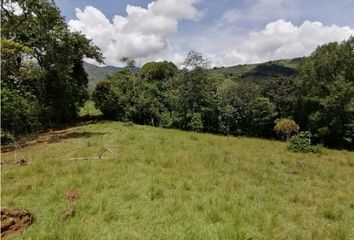 Lote de Terreno en  Cocorná, Antioquia