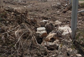 Lote de Terreno en  Pueblo Dzitya, Mérida, Yucatán