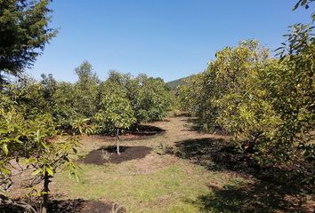 Lote de Terreno en  La Candelaria, Valle De Bravo