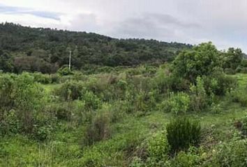 Lote de Terreno en  Tapalpa, Tapalpa, Tapalpa, Jalisco