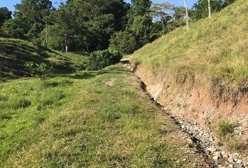 Lote de Terreno en  Sonsón, Antioquia