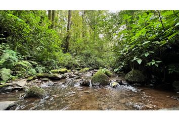 Lote de Terreno en  Avándaro, Valle De Bravo