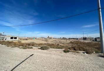 Terrenos en  Viedma, Río Negro