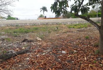 Lote de Terreno en  Umán, Yucatán