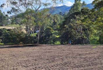 Lote de Terreno en  Calle 5cr 43d 10, Medellín, Antioquia, Col