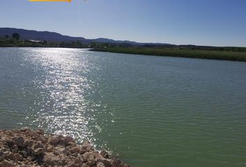 Lote de Terreno en  San Francisco De Conchos, Chihuahua