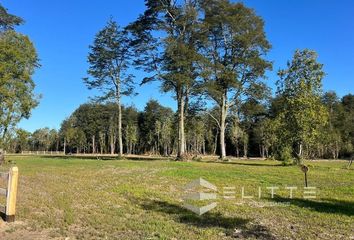 Parcela en  Los Lagos, Valdivia