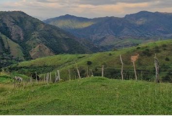 Lote de Terreno en  056468, Ciudad Bolívar, Antioquia, Col