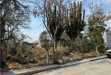 Lote de Terreno en  Ampliación Bugambilias, Jiutepec, Morelos