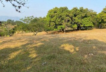 Lote de Terreno en  Colón, Medellín