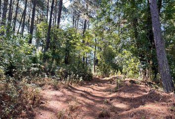 Lote de Terreno en  Avándaro, Valle De Bravo