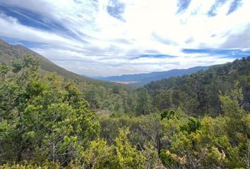 Lote de Terreno en  Ejidal, Arteaga, Arteaga, Coahuila