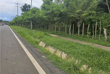 Finca/Hacienda en  Barrio Colón, La Chorrera