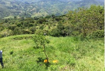 Lote de Terreno en  Popalito, Barbosa, Antioquia, Col