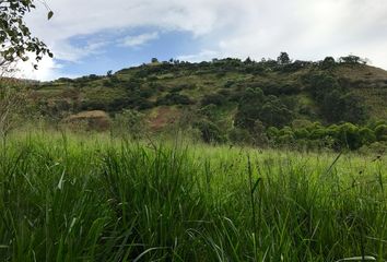 Terreno Comercial en  Vilcabamba (victoria), Loja