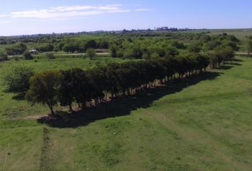 Terrenos en  Victoria, Entre Ríos