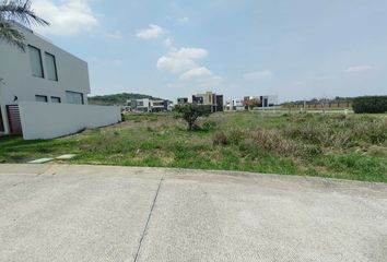 Lote de Terreno en  Alvarado, Veracruz De Ignacio De La Llave, Mex