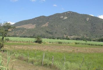 Rancho en  Paso Blanco, Tuxpan, Tuxpan, Jalisco