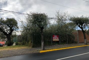 Lote de Terreno en  San Luis Obispo, Toluca