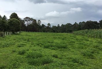 Lote de Terreno en  Valle De Bravo, México, Mex