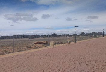 Terreno en  Carrascal De Barregas, Salamanca Provincia