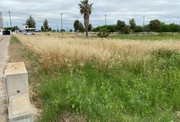 Terreno en  Almassora/almazora, Castellón Provincia