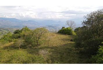 Lote de Terreno en  Fredonia, Antioquia