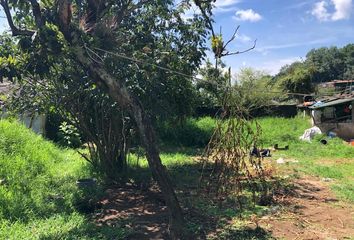 Lote de Terreno en  Banderilla Centro, Banderilla