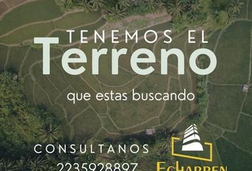 Terrenos en  F. M. Esquiú 2301-2399, Mar Del Plata, General Pueyrredón, B7600, Buenos Aires, Arg