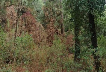 Lote de Terreno en  Avándaro, Valle De Bravo