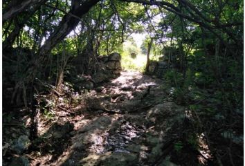 Lote de Terreno en  Izamal, Yucatán