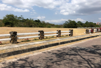 Lotes y Terrenos en  Punta De Barco, San Carlos