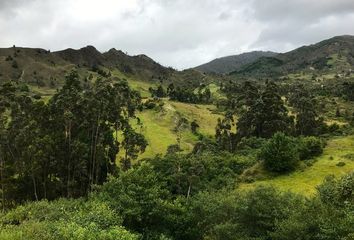 Terreno Comercial en  Loja