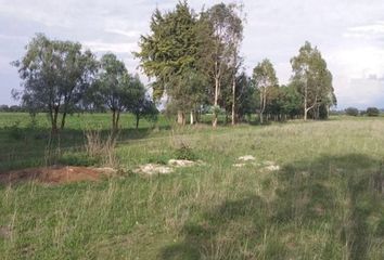 Lote de Terreno en  Centro, San Juan Del Río, San Juan Del Río, Querétaro