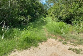 Lote de Terreno en  Pueblo Baca, Baca, Yucatán