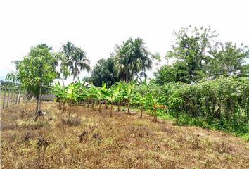 Lote de Terreno en  La Castellana, Montería