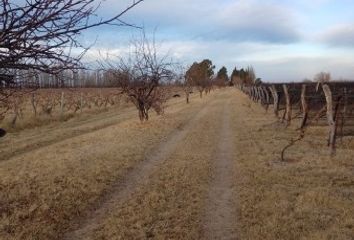 Terrenos en  San Rafael, Mendoza