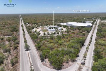 Lote de Terreno en  Carretera Progreso-sierra Papacal, Progreso, Yucatán, Mex