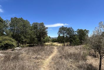 Lote de Terreno en  Tapalpa, Tapalpa, Tapalpa, Jalisco