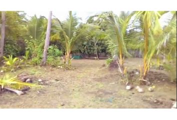 Lotes y Terrenos en  Las Lajas, San Felix, Chiriquí, Pan