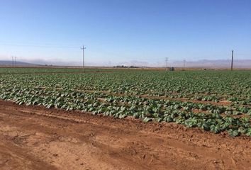 Lote de Terreno en  Camalu, Ensenada