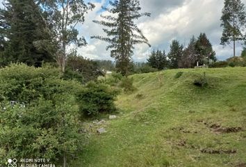 Terreno Comercial en  Alangasi, Ecuador