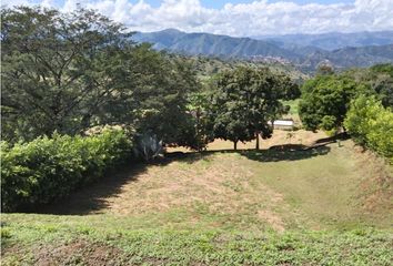 Lote de Terreno en  Colón, Medellín