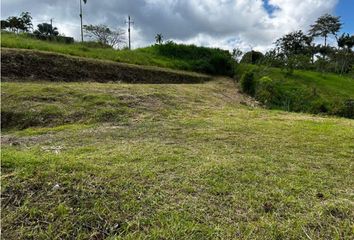 Lote de Terreno en  Centro, Pereira