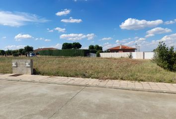 Terreno en  Doñinos De Salamanca, Salamanca Provincia