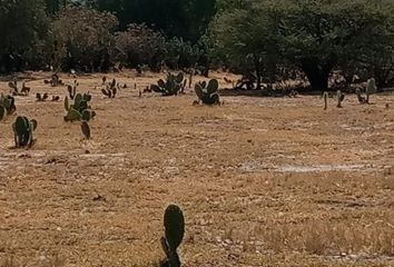 Lote de Terreno en  San Martín De Las Pirámides, Estado De México