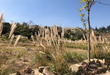 Lote de Terreno en  Avenida Jesús Del Monte, Jesús Del Monte, Huixquilucan, México, 52764, Mex